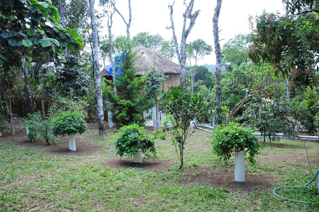 Green Ark Resorts Thekkady Kültér fotó